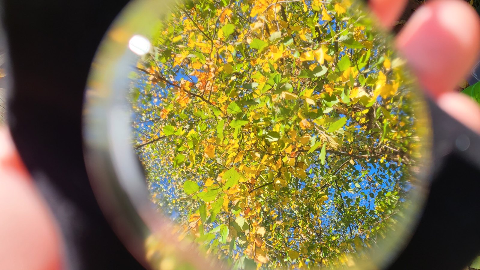 Clear reflection in polished surface