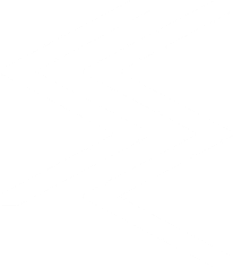 Spectrum Energetics logo mark